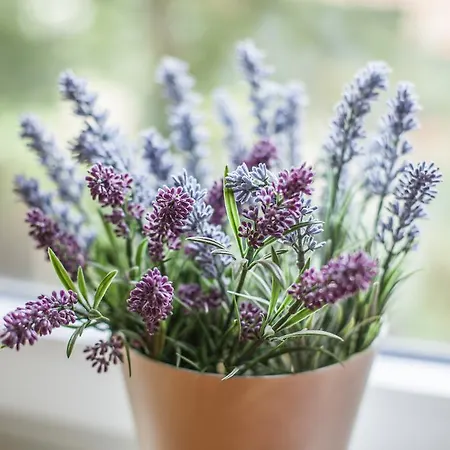 Lägenhet U Cerveneho Stromu Rožnov pod Radhoštěm